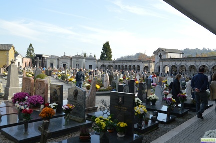 Cimitero_2014_0009